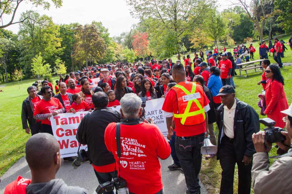 Walk-2014-1