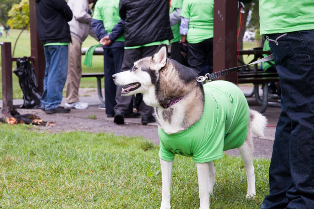 Walk-a-thon-2015-17